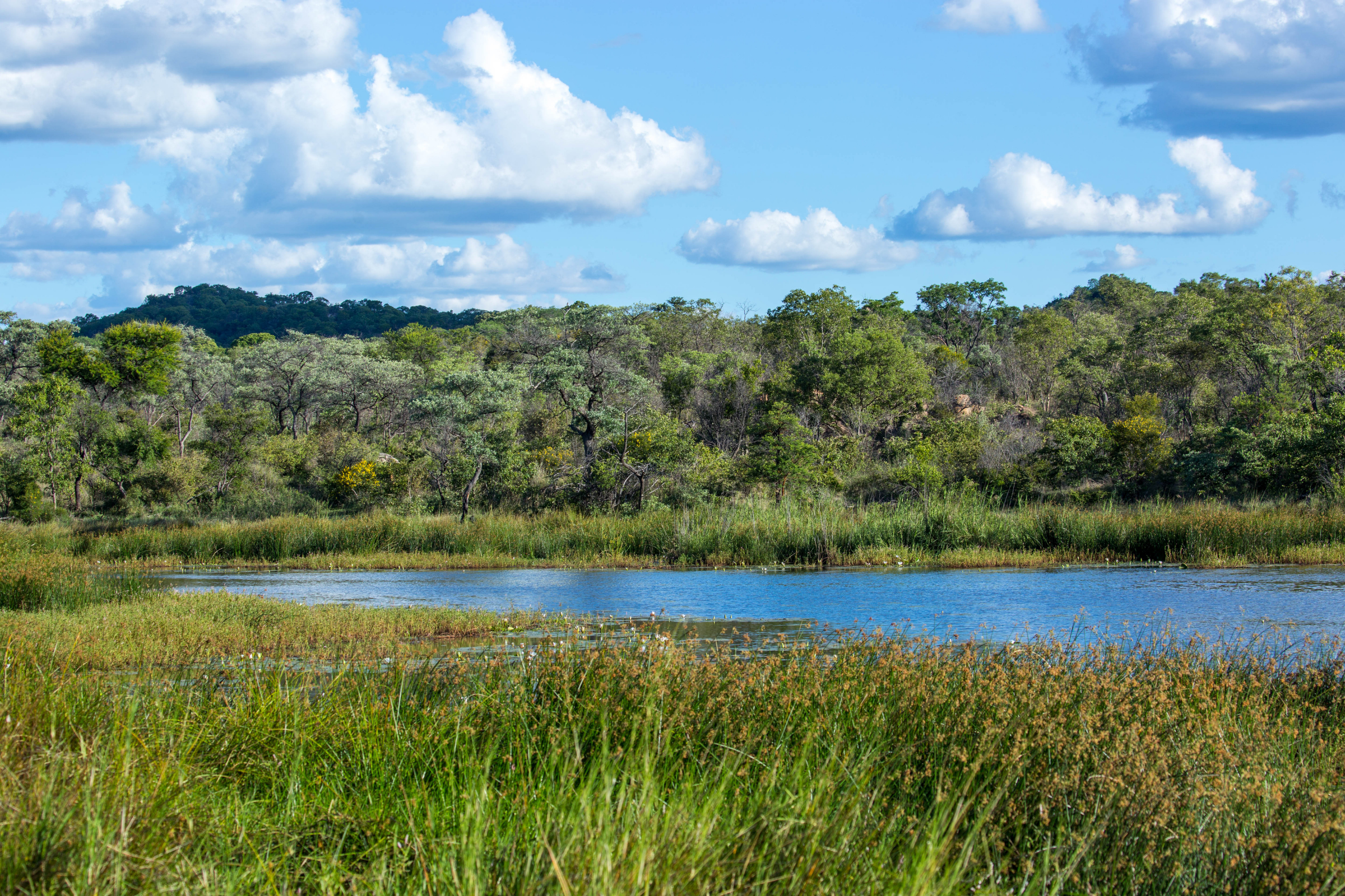 matobo national park.webp